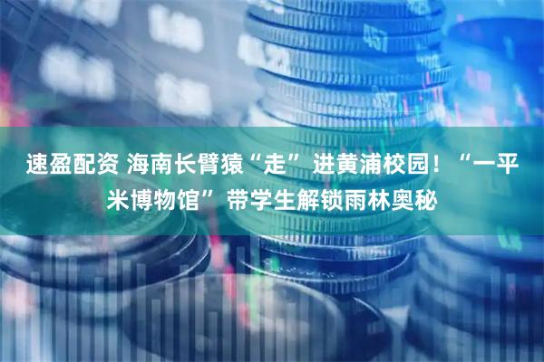 速盈配资 海南长臂猿“走” 进黄浦校园！“一平米博物馆” 带学生解锁雨林奥秘
